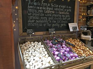 Garlic Farm